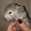 Айлин 