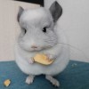 Мило