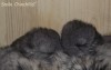 С братиком (1 неделя)