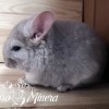 Гритэль Милагро Минера