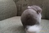 1 месяц