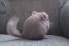 1 месяц