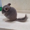 5.07.2020