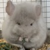 Матрасик