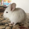 Снежинка