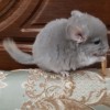 Конфетка