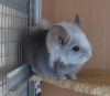 6 мес