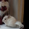 Гретель Джин