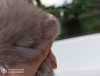 07.07.2020г.