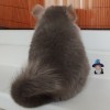 Милочка