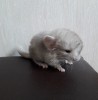 10 дней