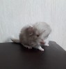 10 дней
