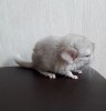 10 дней