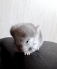 10 дней