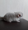 10 дней