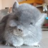 Фантастика