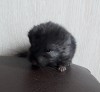 5 дней