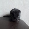 5 дней