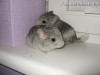Кассия и Мишель