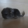2 дня