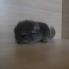 2 дня