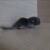 2 дня