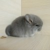 27 дней