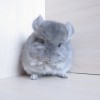 4 мес