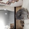 Фараон