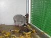 2 дня
