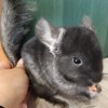 Бусинка