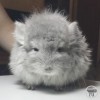 Кевин Моррис