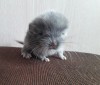 3 дня
