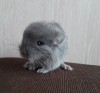 3 дня
