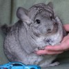 Нана