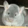 Экселент
