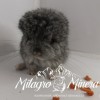 Зохан Милагро Минера