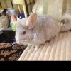 Солнышко