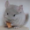 Мультик