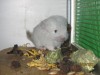 8 дней