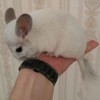 Пацан