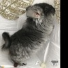 Сансара