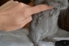 2 мес