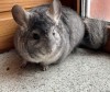Мигель