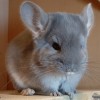 Эмилиано