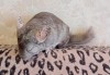 17.10.2022