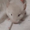 Филипп 