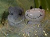 Почти месяц