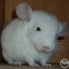 Хаппи УфаЧин