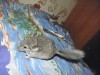1мес 3 нед.